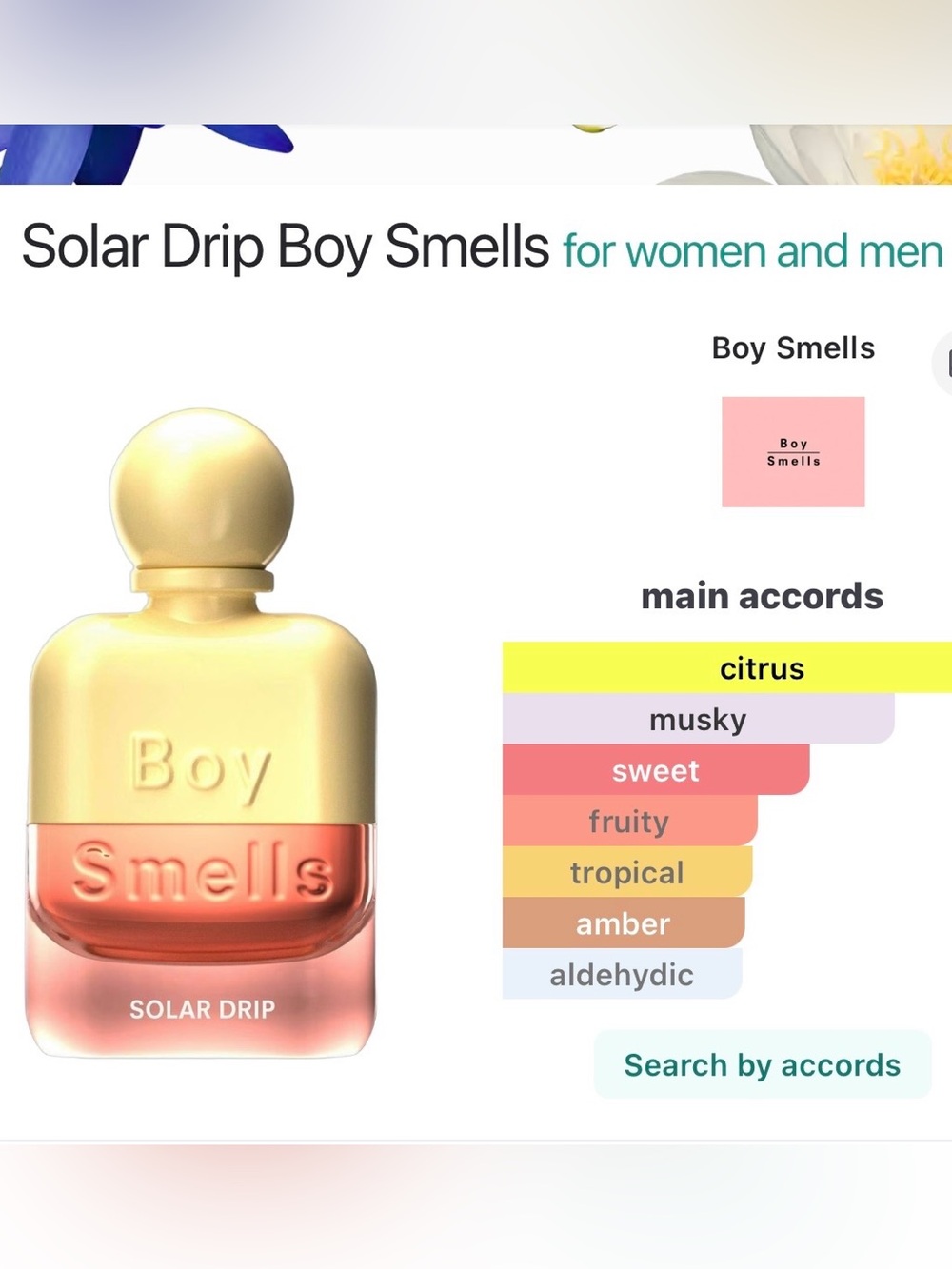 Boy Smells- 2 Solar Drip Eau De Parfum - Picture 12 of 13